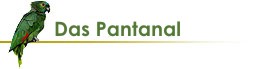 Pl Pantanal