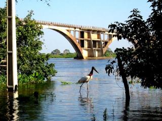 Pantanal 2